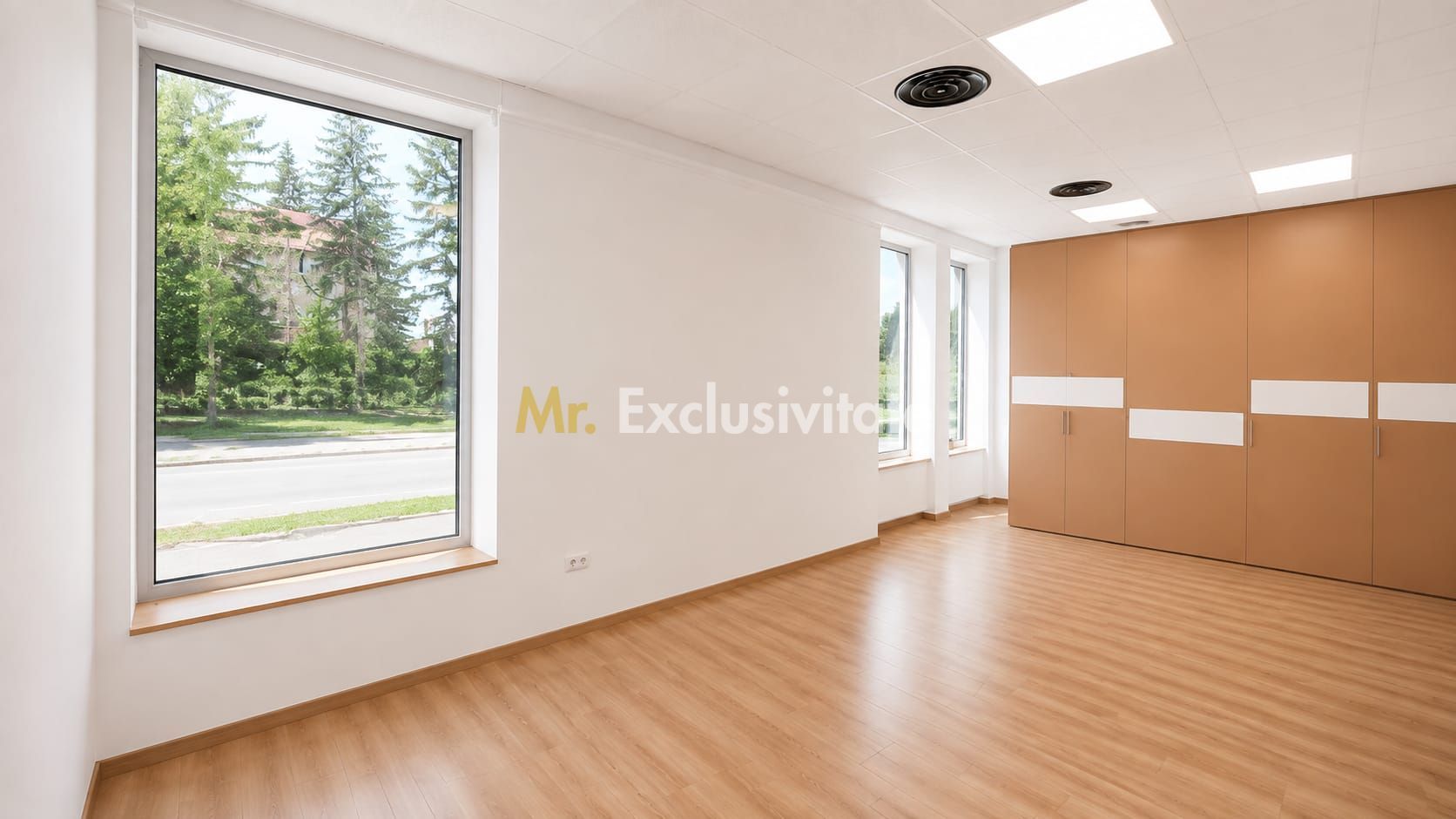 Inchiriere spațiu comercial 133 mp Ultracentral -Tășnad Jud. Satu Mare - Poză 6