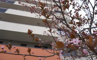 2 camere | Zona Aradului-Torontalului | loc parcare acoprit; ctr. Anaf inclus. - Poză 15
