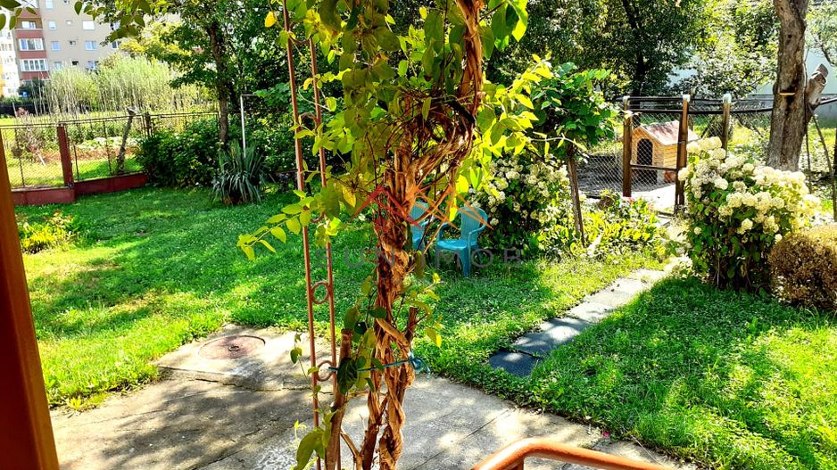 Casa 3 camere, teren 3625 mp, toate utilitatile, Sacele, Brasov - Poză 15