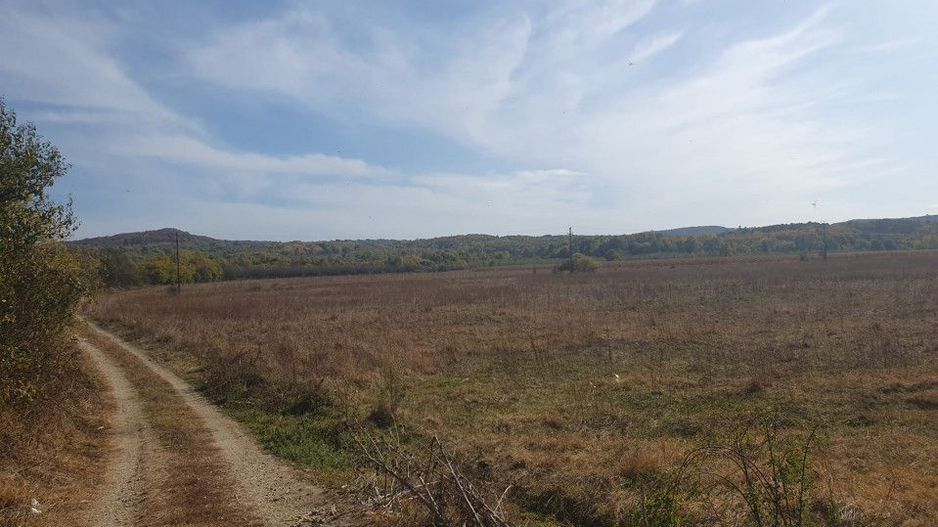 Vanzare teren arabil 22 Ha, plan, Arges, Moraresti - Poză 4