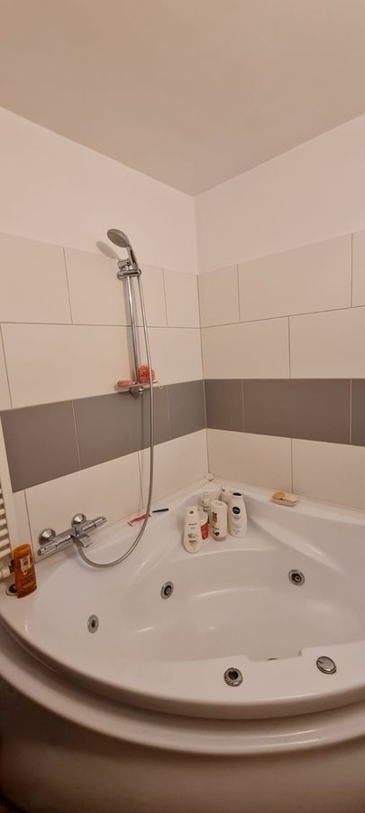 Apartament modern si atragator, 3 camere, Gorjului - Poză 10
