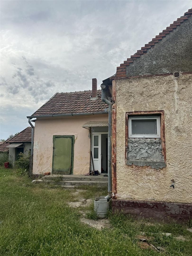 Casa de vï¿½nzare Niuved - Poză 4