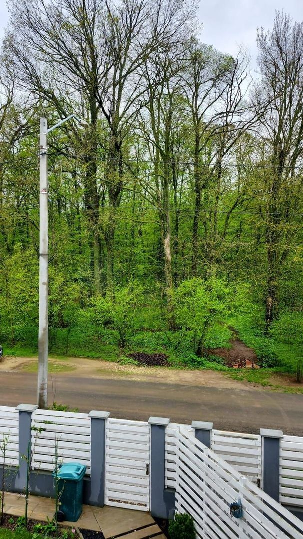 Duplex 4 camere | Tunari | Curte & Pădure - Poză 3