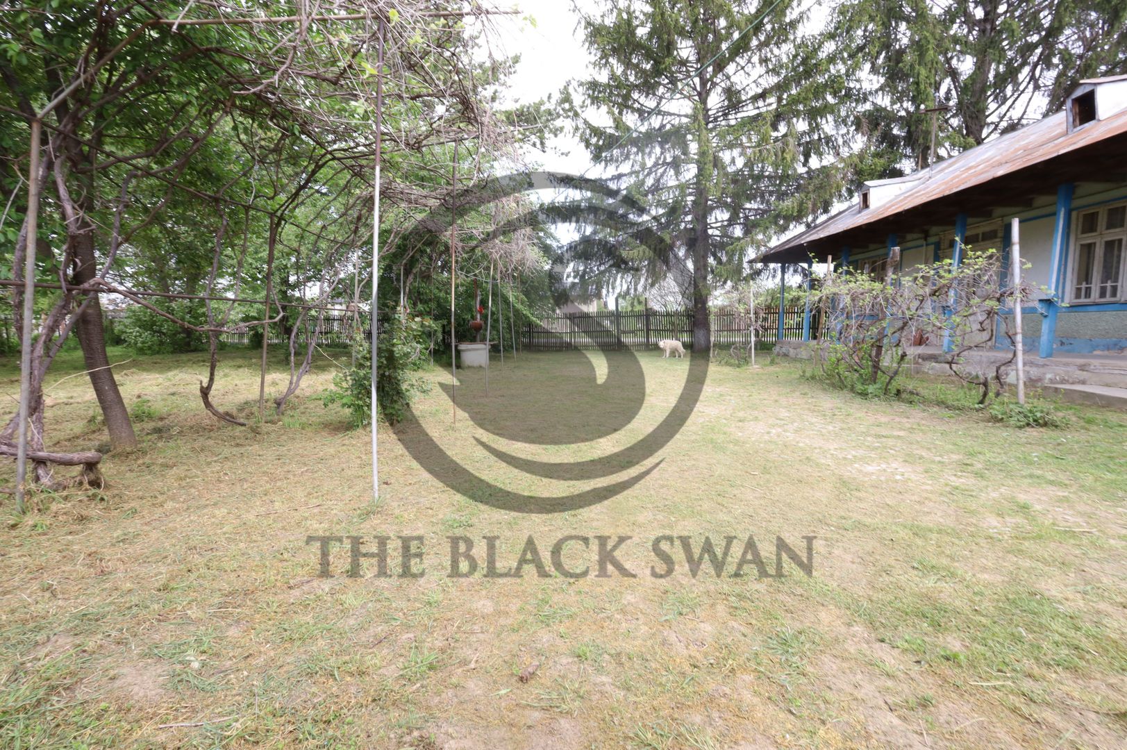 Teren si casa de vanzare | Habud - Sirna, Prahova | Comision 0% - Poză 8