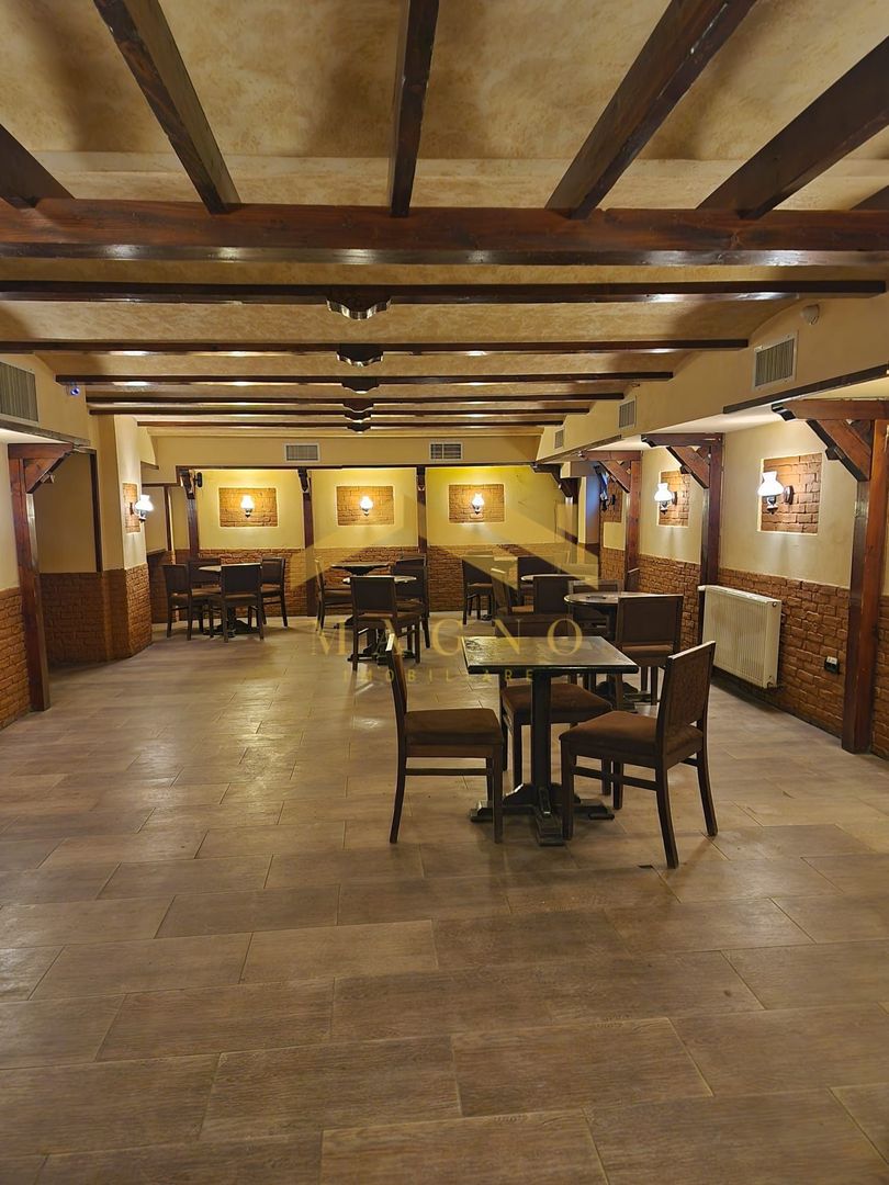 Spatiul in inima Aradului de inchiriat - Poză 8