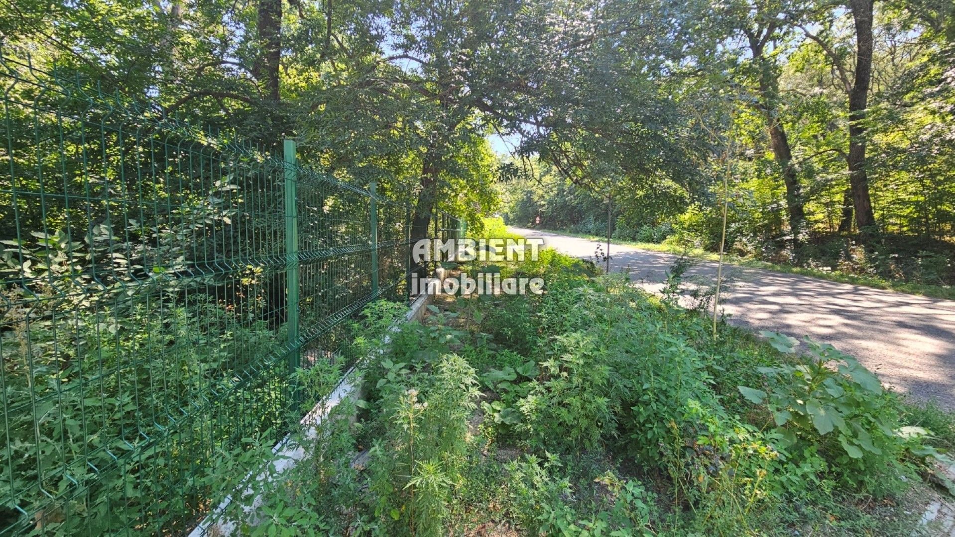 INVESTIȚIE!! Teren intravilan 5.000 mp, zona BĂLTENI - Padure; - Poză 4