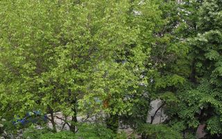 Titan, Rebreanu 5 min. metrou,parc, izolat termic - Poză 17