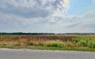 Loc de casă - Teren Intravilan 1000 mp – Jucu de Mijloc - Poză 3