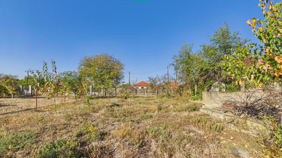 Casă cu teren 983 mp, front stradal 30 m, Cicir - Poză 12