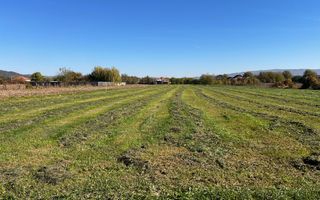 Teren intravilan/Str Balciului/Copacelu - Poză 4