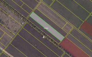 Teren agricol de 40 ari în Ghidighici – oportunitate pentru investiție sau activitate agricolă - Poză 6