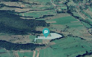 Teren de 92294 in Halmagiu - Poză 2