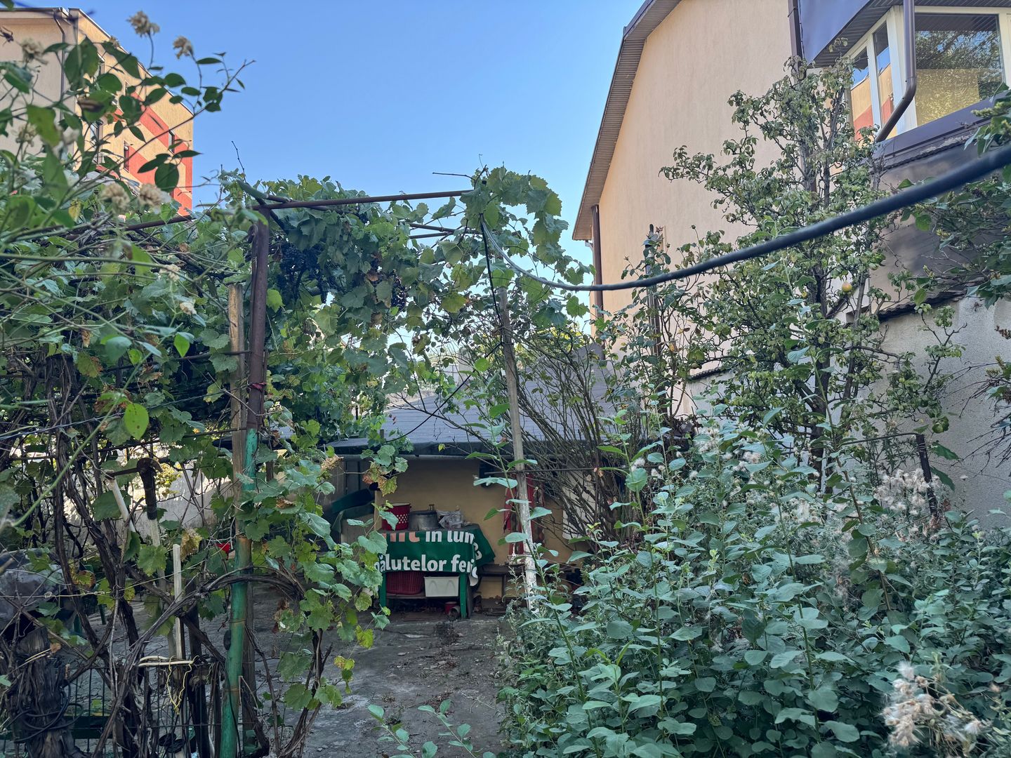Casa si teren intravilan 512 mp | Bd. Uverturii – zona Cernisoara - Poză 13