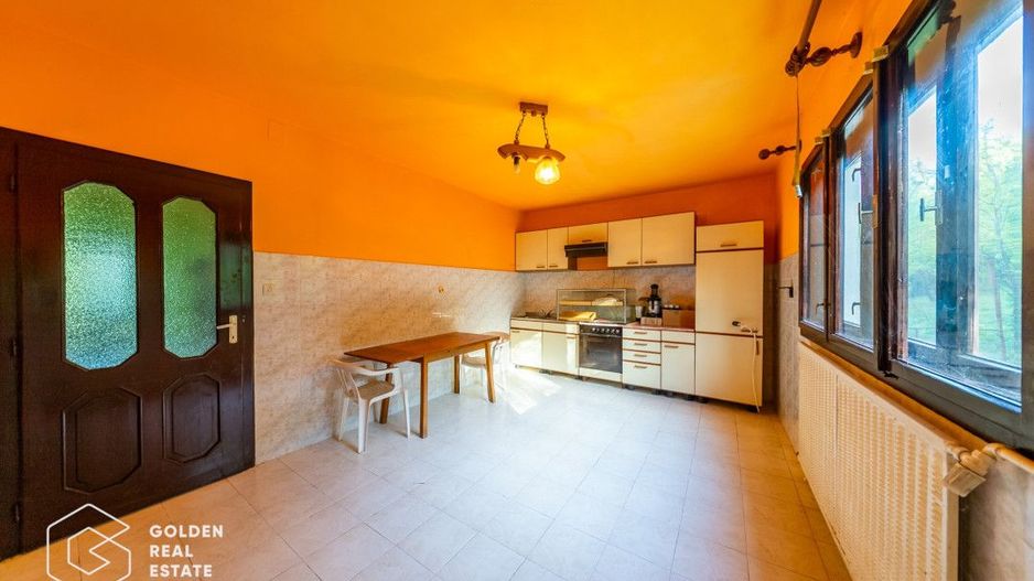 Casa de vacanta, localitatea Cladova, ideal pozitionata - Poză 21