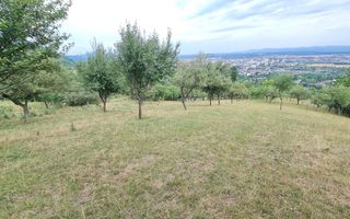 Teren de vânzare | Suprafață 10.040 mp | 2.500 € / ar | Strada Nucului - Poză 2