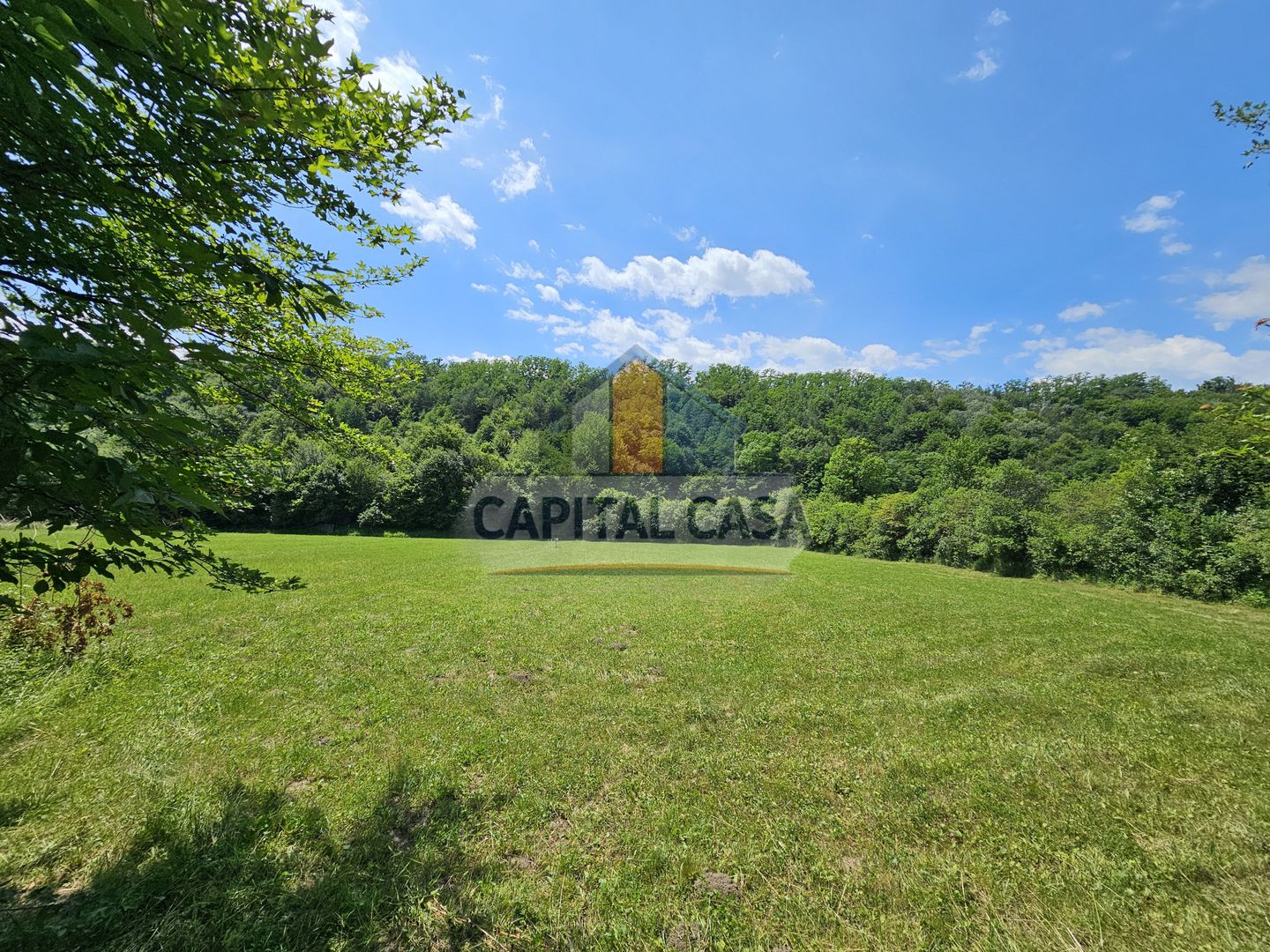 Teren superb de Vanzare in Darmanesti, Bacau - Poză 5