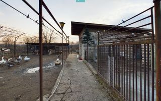 Casa modesta, 2500 mp teren, Domnesti - Poză 13