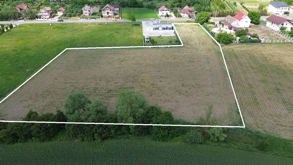 De Vanzare Teren Intravilan Soseaua Principala Odoreu 7200MP - Poză 5