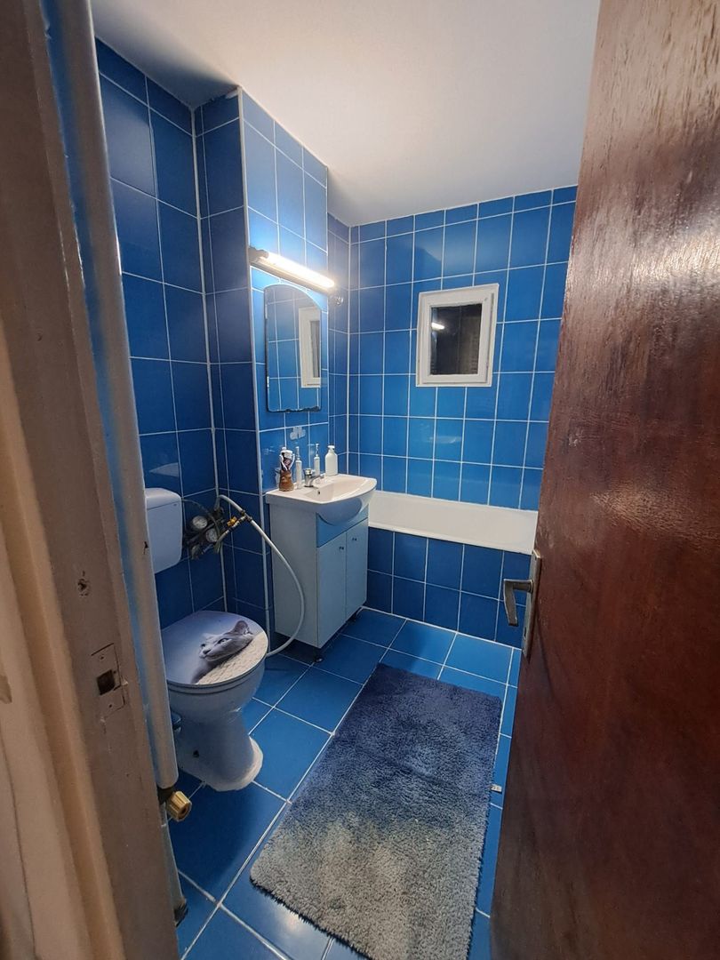 Apartament 2 camere de vânzare – Craiovita Noua - Poză 11