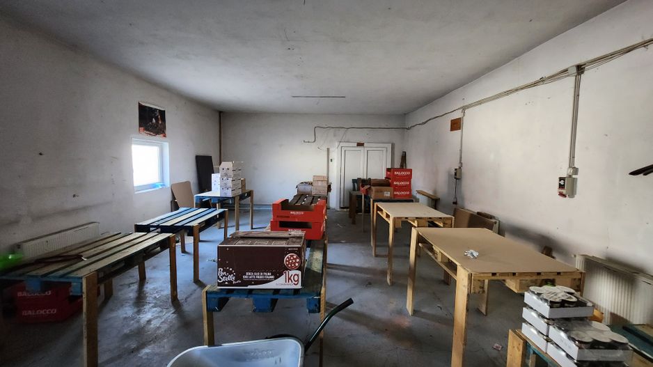 Hala depozitare - 200 mp_Remetea Mare - Poză 2