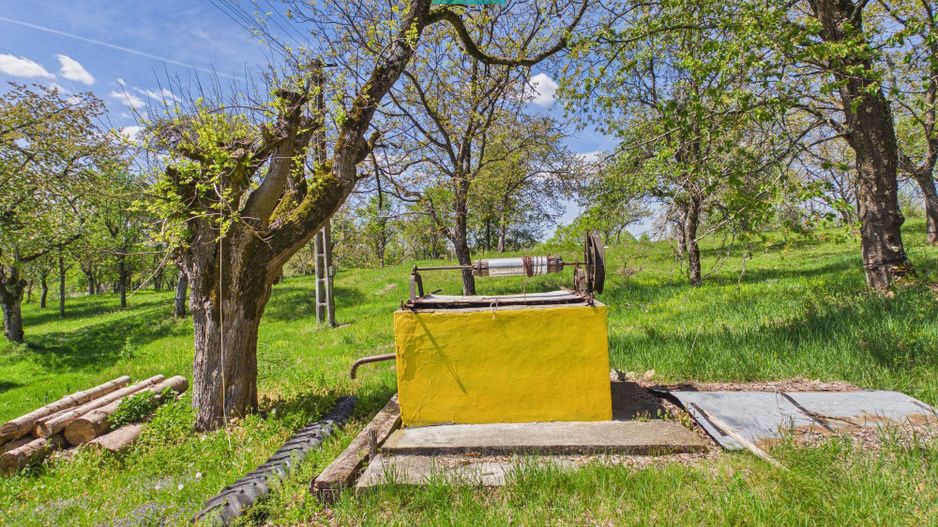 Proprietate rară cu 24.270 mp, în Măgulicea, Arad! - Poză 8