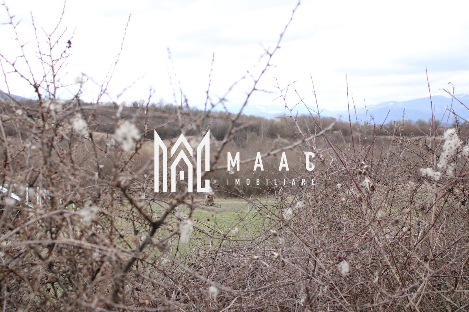 Oportunități de Investiție în Terenuri Sebesul de Sus - Poză 12