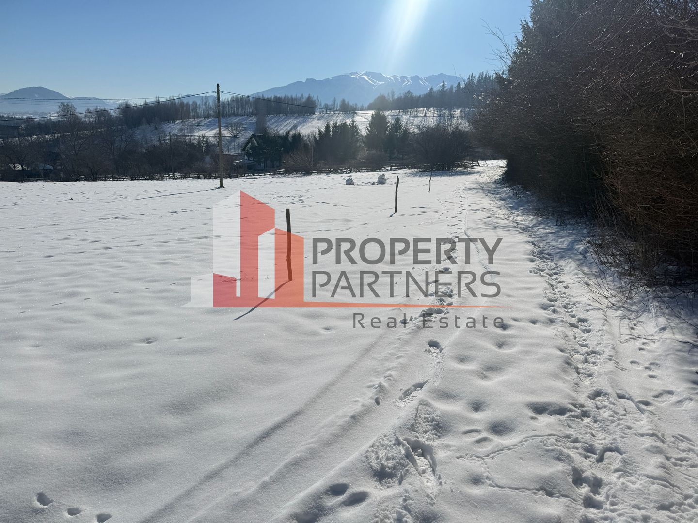 Teren Intravilan 1.500 mp | Vedere Panoramică| Tohanita - Poză 5