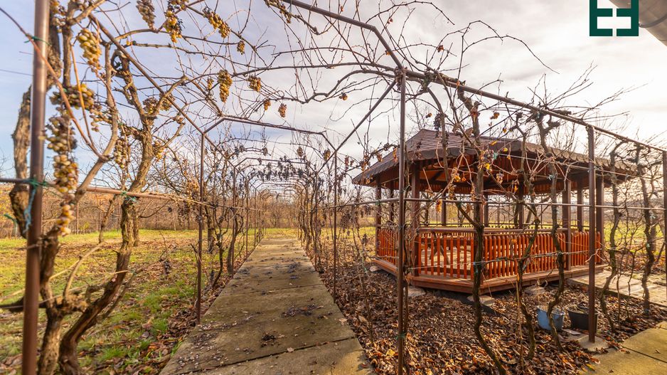 Casă spațioasă în orașul Pâncota județul Arad - Poză 23