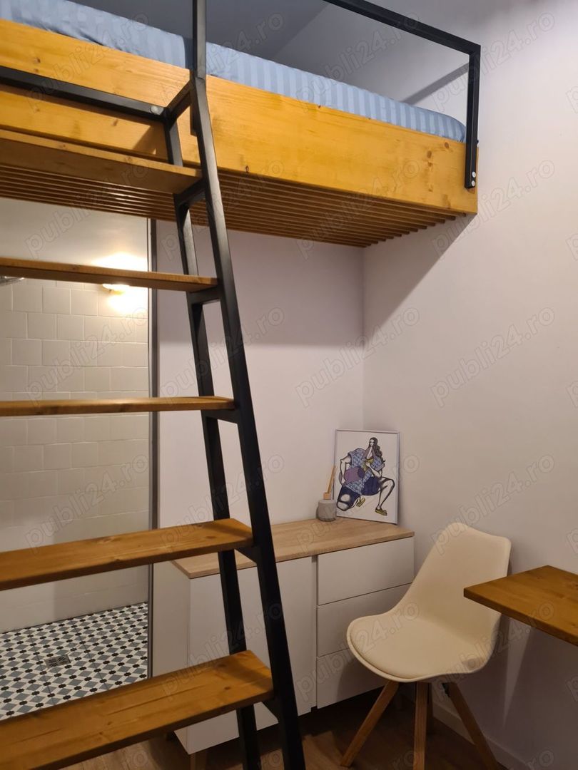 Apart deosebit pe malul Begai - Poză 7