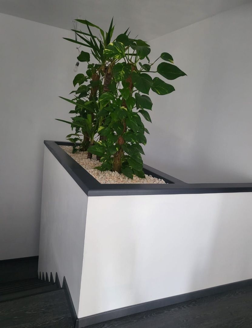 Vila Individuala langa Padure | Balotesti | Lux | Piscina - Poză 14