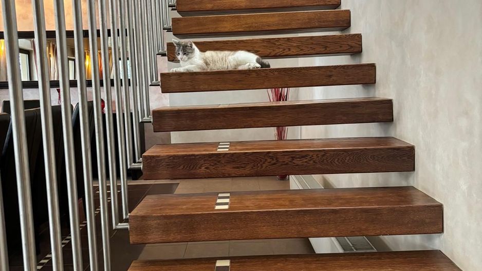 Casa individuala Timisoara/ Mehala - Poză 6