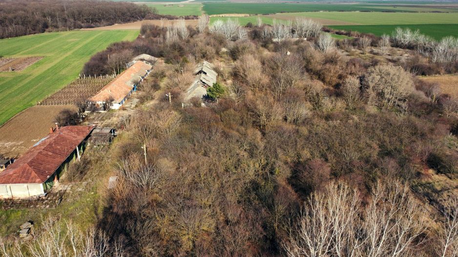 Ferma si livada de meri in judetul Ilfov - Poză 18