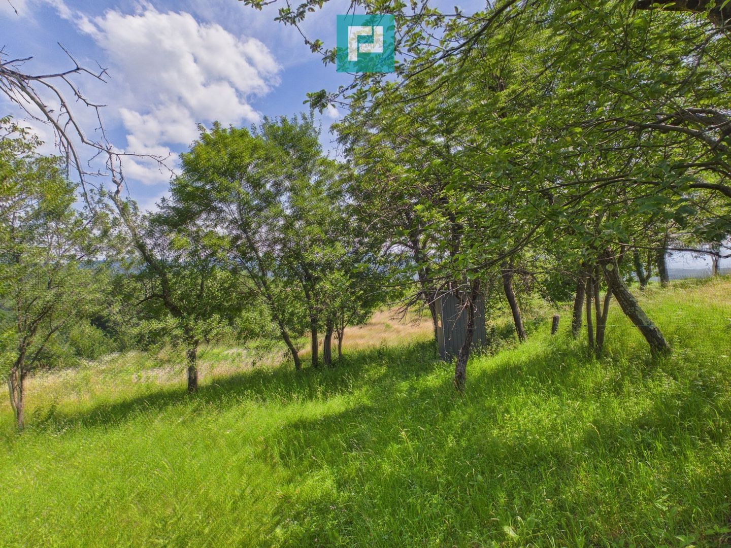 Casă de vacanță cu 2 corpuri si view în Dulcele - Poză 21