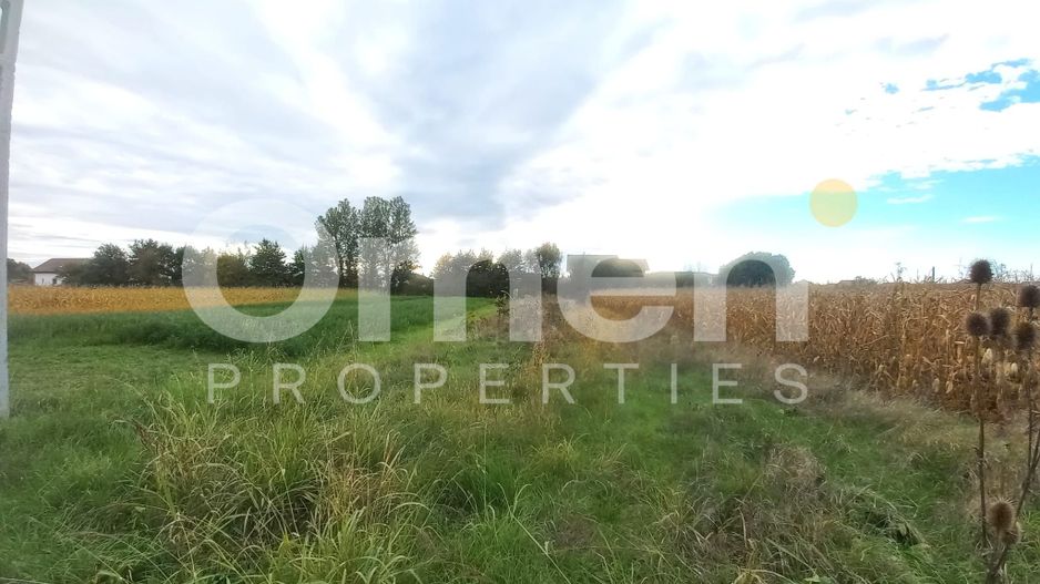 Teren intravilan de 10 arii de vânzare în Cătălina – zonă în plină dezvoltare - Poză 2