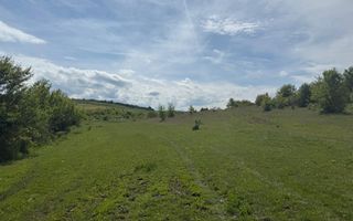 Teren de vânzare în Salistea Noua! - Poză 1