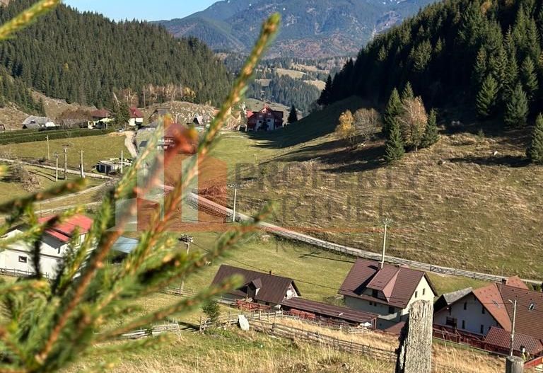 Teren Fundatica intravilan 4500 mp - Poză 7