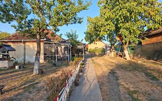 BRASADAS vinde casa individuala 2 cam Viile Satu Mare. - Poză 1