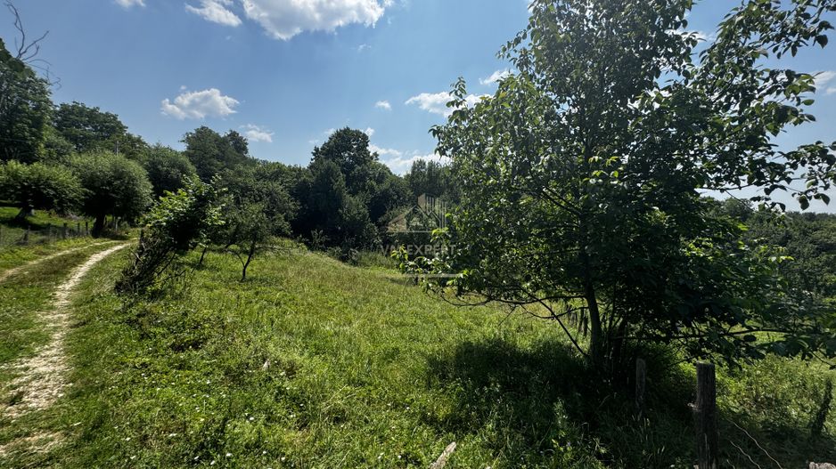 TEREN INTRAVILAN 2146 MP, ALBESTII DE MUSCEL, ARGES - Poză 4