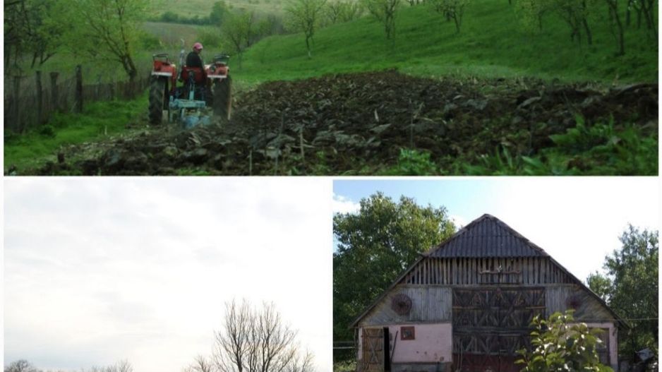 Vand casa in Loc. Medisa - Poză 3