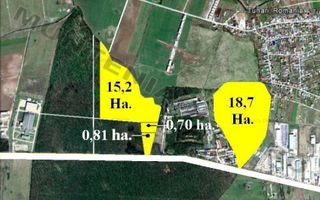 TUNARI - Centura Bucuresti, 16,7 Ha. teren (padure de peste 100 ani) - Poză 1