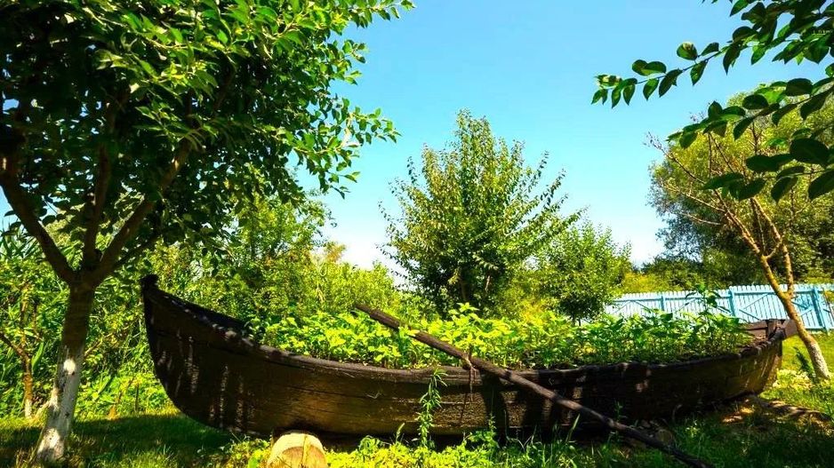 Oportunitate de investitie| Delta Dunarii |Mila 23| pensiune activa - Poză 5