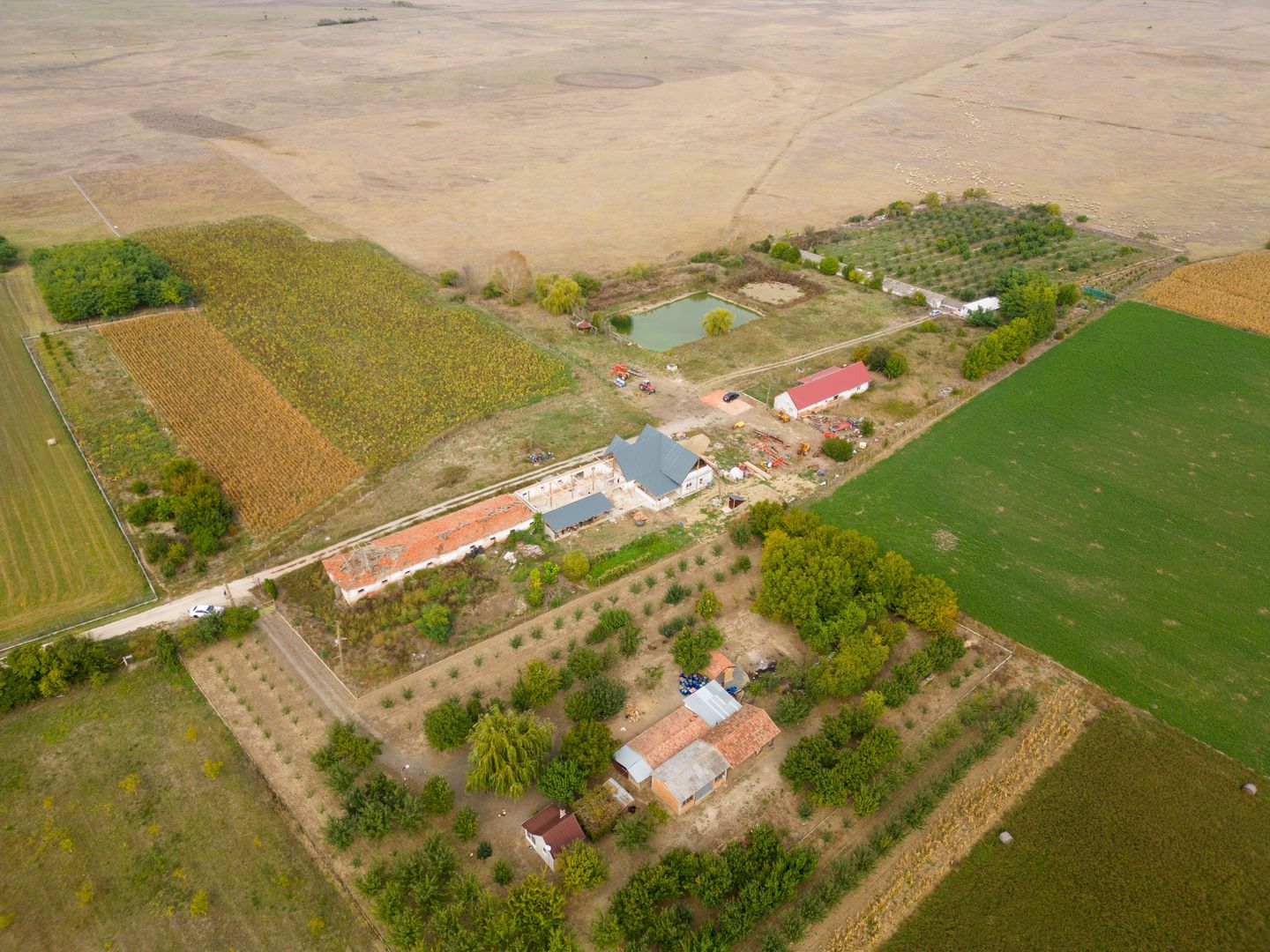 Teren intravilan cu iazuri și casă - Chișineu-Criș - Poză 19