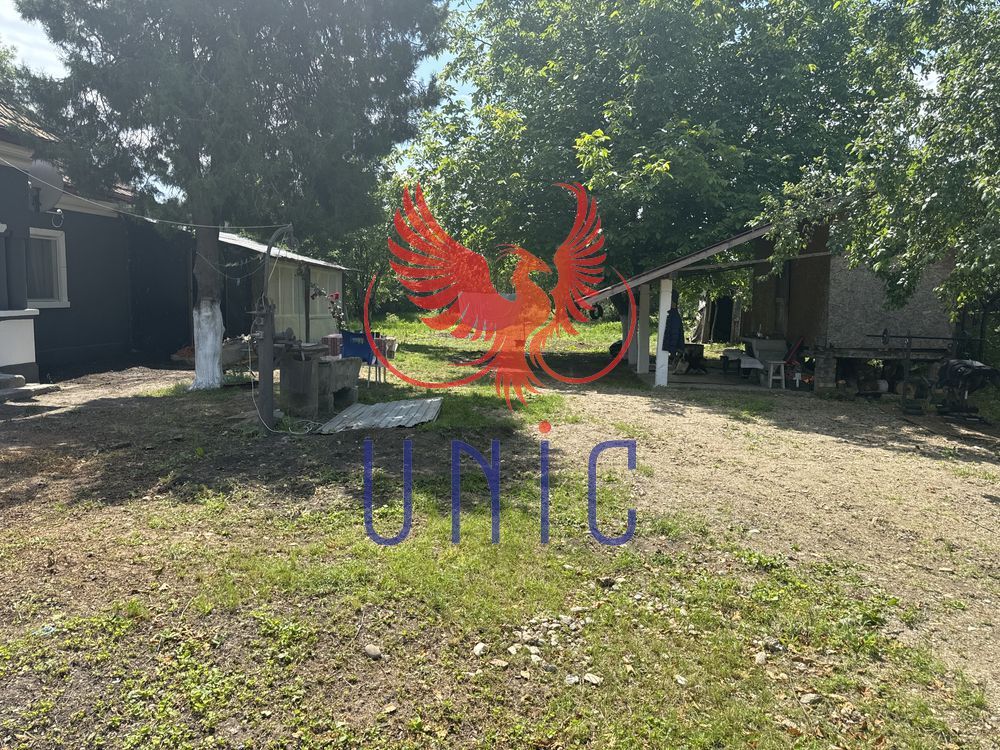 Casa cu teren de 1000 de mp -Radovan - Poză 19