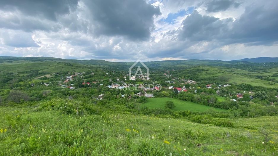 Domeniu 15.900 mp în Fințești | Casă + Investiție Dealu Mare - Poză 19