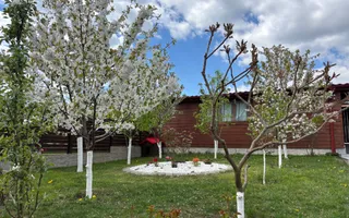Casa 5 camere cu teren GENEROS si CARPORT - Cartierul Arhitectilor - Poză 22