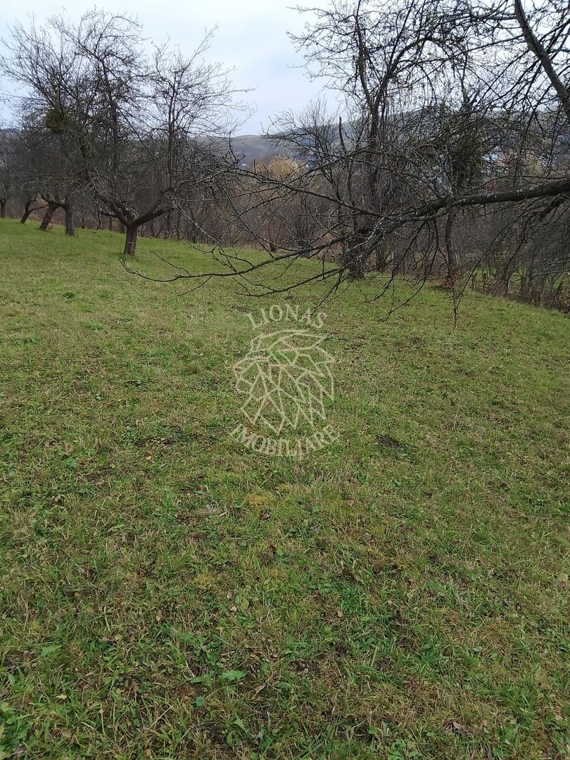 Teren 3966 mp-2 deschideri-curent-investitie-Budacu de Jos - Poză 4