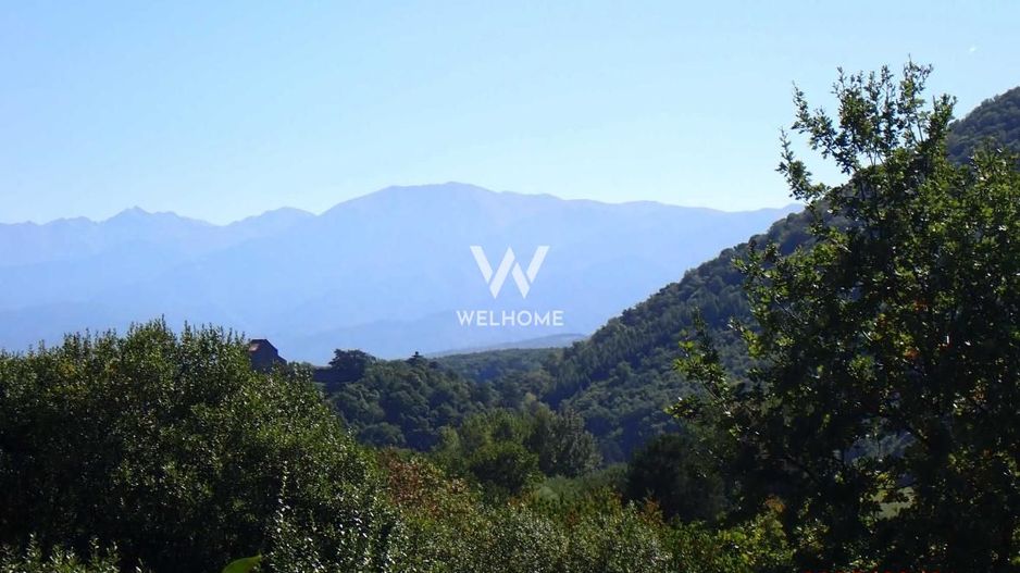 Teren intravilan Cisnadioara, Sibiu - Poză 2