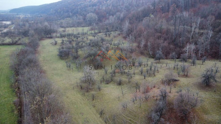 Teren 36000 m2, intravilan+partial extravilan, cadastru, Draganeasa PH - Poză 1