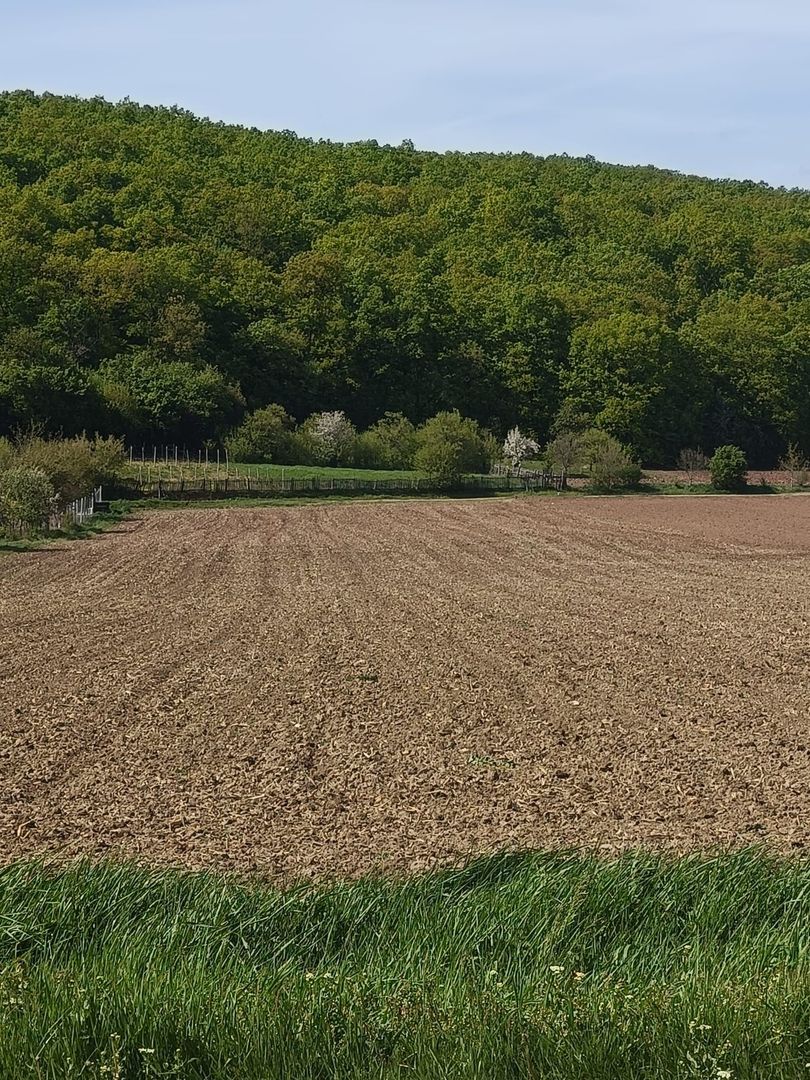 Teren intravilan, 1600 mp, utilitati in zona, Ampoita, Alba Iulia - Poză 1