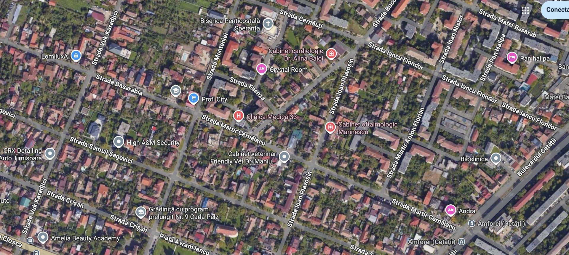 TEREN CU FRONT GENEROS DE 25 ML IN ZONA MEHALA - Poză 3